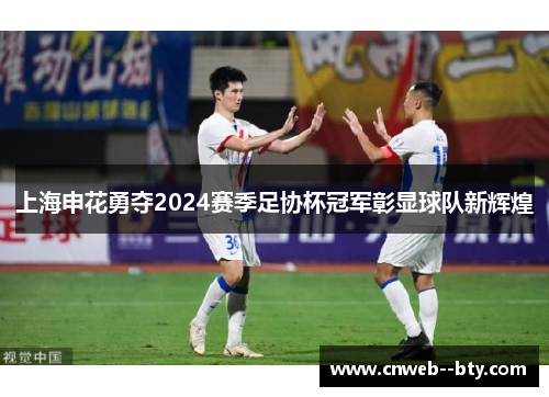 上海申花勇夺2024赛季足协杯冠军彰显球队新辉煌